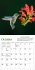 Audubon Hummingbirds Mini Wall Calendar... - Bild 3