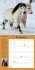 How to Think Like a Horse Wall Calendar... - Bild 2