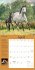 How to Think Like a Horse Wall Calendar... - Bild 4