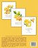 Bee's Sweet Counting Adventure -... - Bild 2