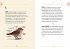 The Birding Dictionary - Bild 7