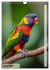 Colourful birds (Wall Calendar 2025 DIN... - Bild 12