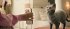 Die Schule Der Magischen Tiere 3 Bd - Bild 6