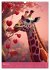 Crazy Safari (Wandkalender 2025 DIN A3... - Bild 9