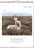 Literarischer Hunde - Kalender 2026 - Bild 2