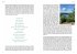 Appalachian Trail - Bild 5