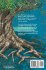 Beneath the Wild Fig Tree - Bild 2