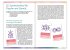 Homöopathische Symbolapotheke: Psyche... - Bild 4