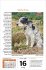 Hunde Tageskalender 2026 - Bild 3