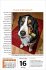Hunde Tageskalender 2026 - Bild 4