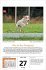 Hunde Tageskalender 2026 - Bild 5