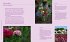 Nachhaltige Schnittblumen - Bild 3