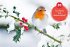 Mein WAS IST WAS Adventskalenderbuch 3 - Bild 4