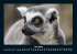Tiere in der Wildnis 2025 Fotokalender... - Bild 12