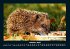 Tiere in der Wildnis 2025 Fotokalender... - Bild 3