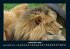 Tiere in der Wildnis 2025 Fotokalender... - Bild 5