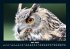 Tiere in der Wildnis 2025 Fotokalender... - Bild 10