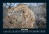 Tiere in der Wildnis 2025 Fotokalender... - Bild 9
