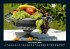 Obstkalender 2025 Fotokalender DIN A4 - Bild 4