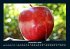 Obstkalender 2025 Fotokalender DIN A4 - Bild 5