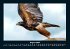 Vogelparadies 2025 Fotokalender DIN A4 - Bild 13