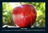 Obstkalender 2025 Fotokalender DIN A4 - Bild 8