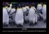 Pinguine & Eisbären 2025 Fotokalender... - Bild 10