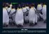 Pinguine & Eisbären 2025 Fotokalender... - Bild 10