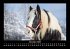 Welt der Pferde 2025 Fotokalender DIN A3 - Bild 5