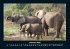 Elefanten - Die sanften Riesen Afrikas... - Bild 7