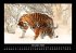 Tiger 2025 Fotokalender DIN A3 - Bild 5