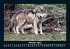 Tiere in der Wildnis 2025 Fotokalender... - Bild 3