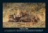 Tiere in der Wildnis 2025 Fotokalender... - Bild 7