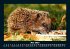 Tiere in der Wildnis 2025 Fotokalender... - Bild 10