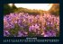 Blumenkalender 2025 Fotokalender DIN A5 - Bild 6