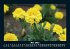 Blumenkalender 2025 Fotokalender DIN A5 - Bild 10
