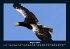 Adler 2025 Fotokalender DIN A4 - Bild 13
