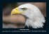 Adler 2025 Fotokalender DIN A4 - Bild 5