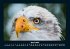 Adler 2025 Fotokalender DIN A4 - Bild 9