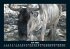 Welt der Tiere 2025 Fotokalender DIN A5 - Bild 12