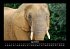 Welt der Tiere 2025 Fotokalender DIN A3 - Bild 9