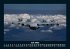 Flugzeuge 2025 Fotokalender DIN A5 - Bild 12