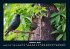 Vogelparadies 2025 Fotokalender DIN A4 - Bild 3