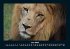 Löwen in der Wildnis 2025 Fotokalender... - Bild 11