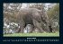 Elefanten - Die sanften Riesen Afrikas... - Bild 6