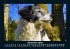 Hunde 2025 Fotokalender DIN A5 - Bild 2