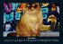 Für Katzenfreunde 2025 Fotokalender... - Bild 9