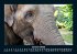Welt der Tiere 2025 Fotokalender DIN A5 - Bild 6