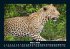 Welt der Tiere 2025 Fotokalender DIN A5 - Bild 8