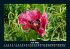 Blumenkalender 2025 Fotokalender DIN A5 - Bild 12